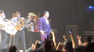 JUAN GABRIEL  TE VOY A OLVIDAR - LA FARSANTE