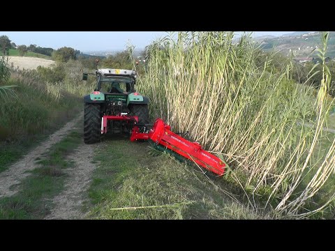 MS TRINCIA LATERALE, VERGE MOWER