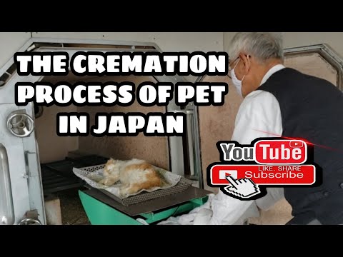 #CremationOfMyLovelyCatTetsu #私の素敵な猫の火葬   THE CREMATION  PROCESS OF PET IN JAPAN