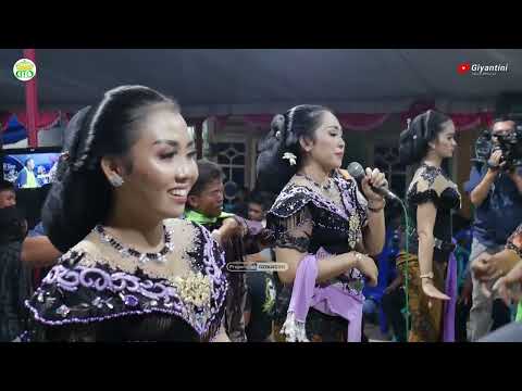 TAYUB GROBOGAN // JENANG GULO - PANJANG ILANG  //GIYANTINI CS // SUKO LARAS // KEES AUDIO RENTAL