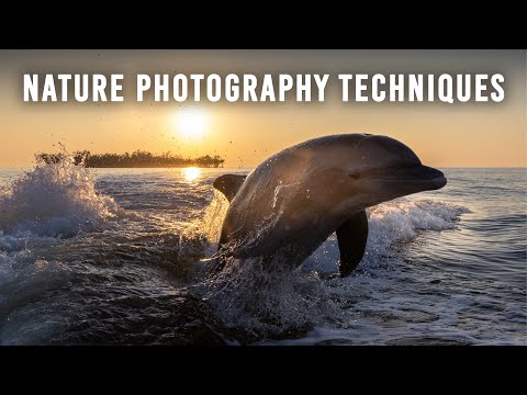 Photo Hacks to Improve Your Nature Photography