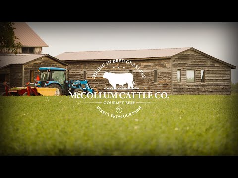 McCollum Cattle Co.