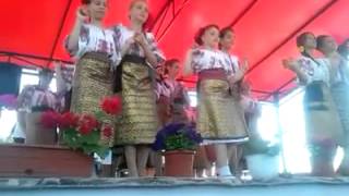 preview picture of video 'Ansamblul de dansuri populare ''Marin Cotoanta'' din Maldaeni'