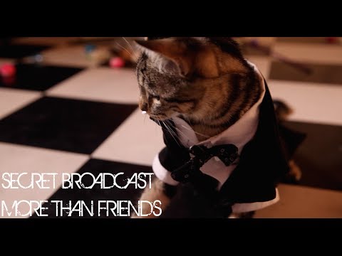 Secret Broadcast - 'More Than Friends' (Official Video)