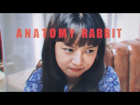 ANATOMY RABBIT - ธรรมดาแสนพิเศษ | Extraordinary (Official Audio)