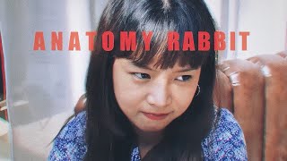 ANATOMY RABBIT - ธรรมดาแสนพิเศษ | Extraordinary (Official Audio) video thumbnail
