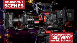  Eric Schwartz 'Delivery'