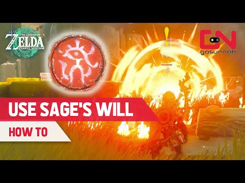 How to Use Sage's Will in Zelda Tears of the Kingdom