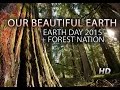 OUR BEAUTIFUL EARTH: A Visual Journey + Earth.