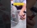 REPAIR damaged crack glass and mirror POWER FULL PRODUCT #repair #damge #glass #mirror #cracked