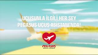 Pegasus Uçuş Asistanı ile uçuşunla ilgili tüm işlemleri tek sekmeden y