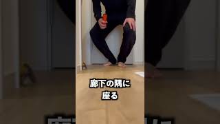 出かけた飼い主が2階で寝てたらパニックになった！