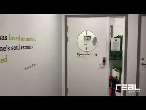 Rundvandring i djurrummet