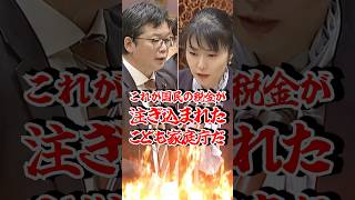【税金のムダ？】こども家庭庁と“実態なき増税”の闇 #自民党 #加藤鮎子 #世襲女性大臣
