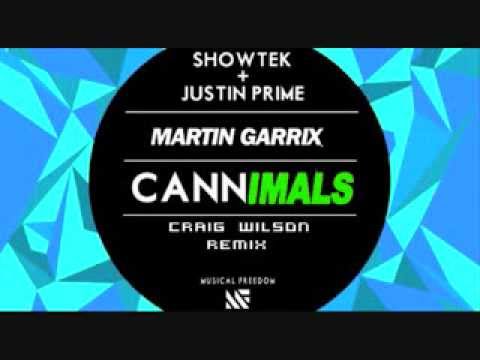 Martin Garrix - Animals (Craig Wilson Remix)