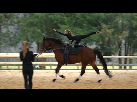 Equestrian Vaulting - 1 Star Compulsories at Canter