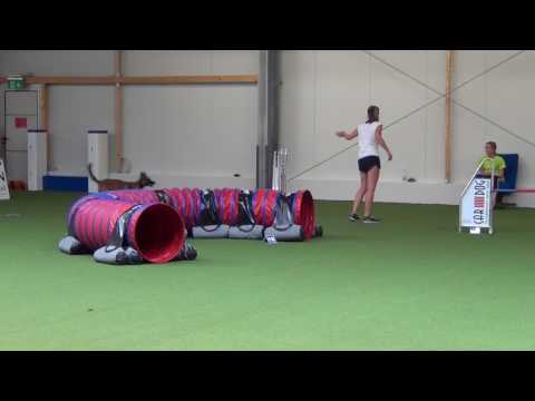 Quimbaya mit Elena - swhv VM 2017