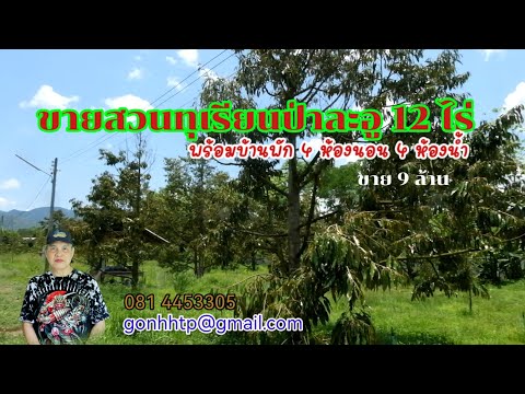 ขายสวนทุเรียน ป่าละอู ใกล้น้ำตกป่าละอู ต.ป่าเด็ง อ.แก่งกระจาน จ.เพชรบุรี, เพชรบุรี, ป่าเด็ง, แก่งกระจาน, เพชรบุรี, 19,200 ตร.ม., ที่ดิน ขาย, โดย Vutthikorn Sathandham-ongart, 10814287 - DDproperty.com