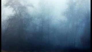 Estatic Fear - Chapter IX