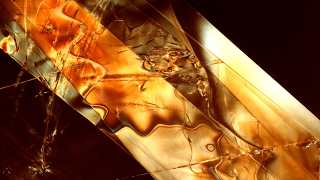 Clock Opera | Changeling