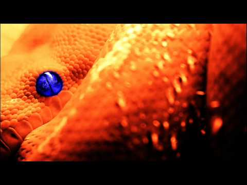 21Street - Disunity (Vansam Remix)