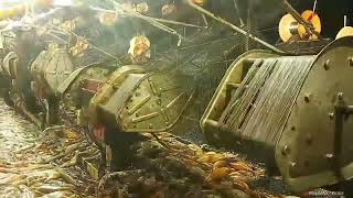 Download lagu KAPAL CUMI TAIWAN, BANJIR CUMI 2021 mp3