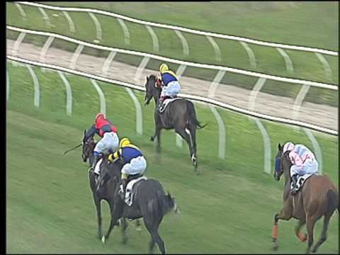 Galoppo 24/06/2016 - 2° corsa