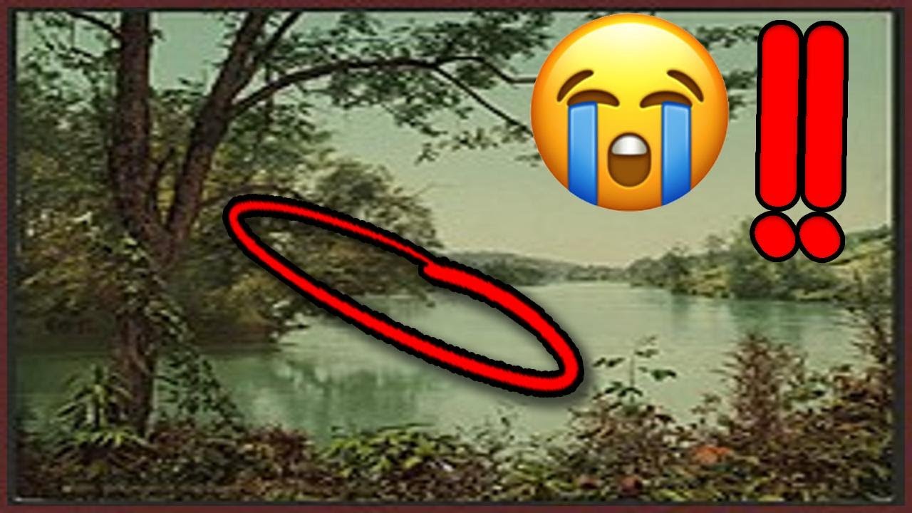 Where the Crawdads Sing - Narrated Wiki English