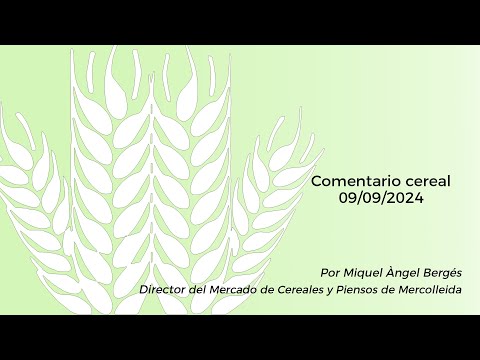 Comentari cereal - 09/09/2024