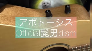 【毎日歌ってみた】アポトーシス/Official髭男dism ギター弾き語り　cover 歌ってみた