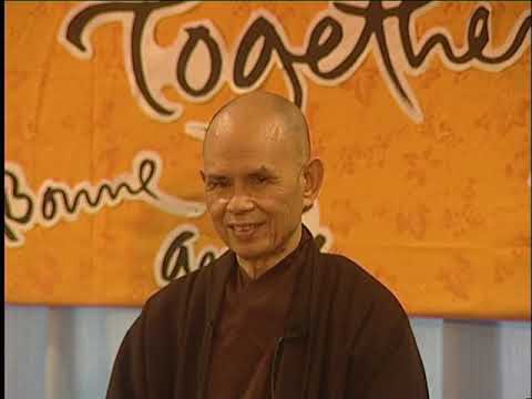 Love Meditation and Beginning Anew | Dharma talk by Thich Nhat Hanh, December 31 2009 (Plum Village)