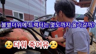 오픈카(트랙터) 온도가 어마어마 가을 홍감자 심다 죽을뻔~ 전원일기,인간극장,텃밭,주말농장,귀농귀촌