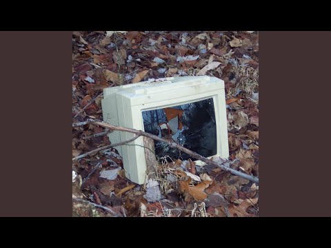 Raised By The World Wide Web