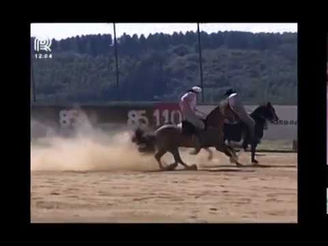 Aberta de Itu – 1° e 3° lugar machos – Floreio Gravatá e Dom Alberto Lucero