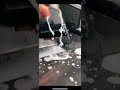 Real Men Eat Pussy Shorts Foodporn Cleaning Youtubeshorts