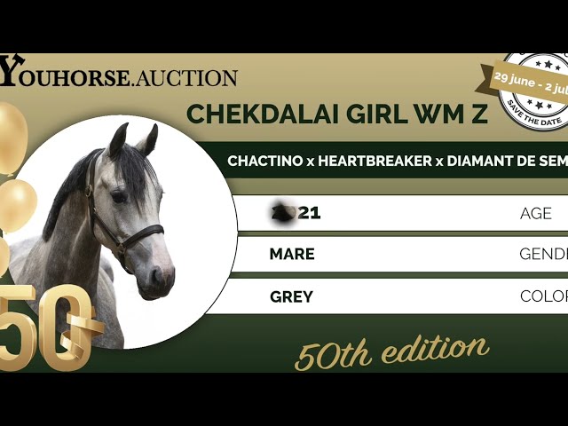 Chekdalai Girl WM Z