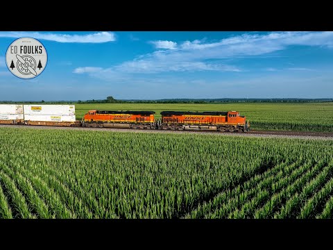 Summer evening catches in the midwest cornfields; west BNSF intermodal and NS manifest headed east