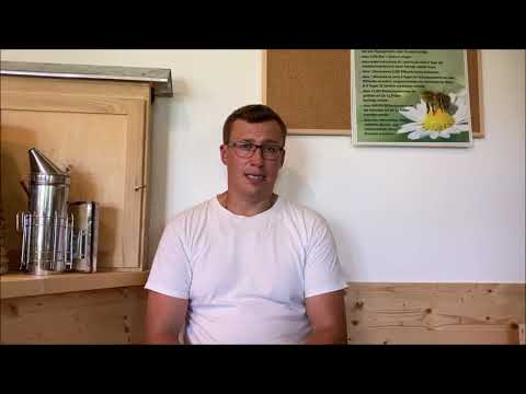 Varroabehandlung im Hochsommer - totale Brutentnahme