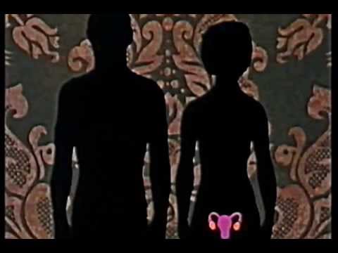 THE HUMAN BODY reproduction