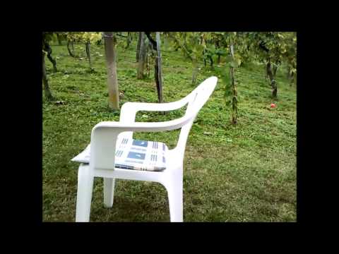 Butec leti mimo stola