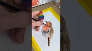 Paint a christmas robin