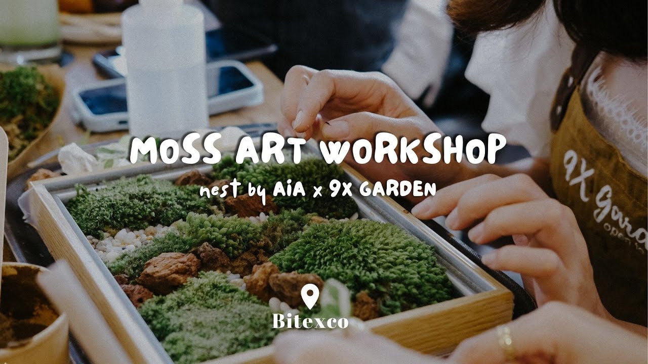 Moss Art Workshop » Nest by AIA