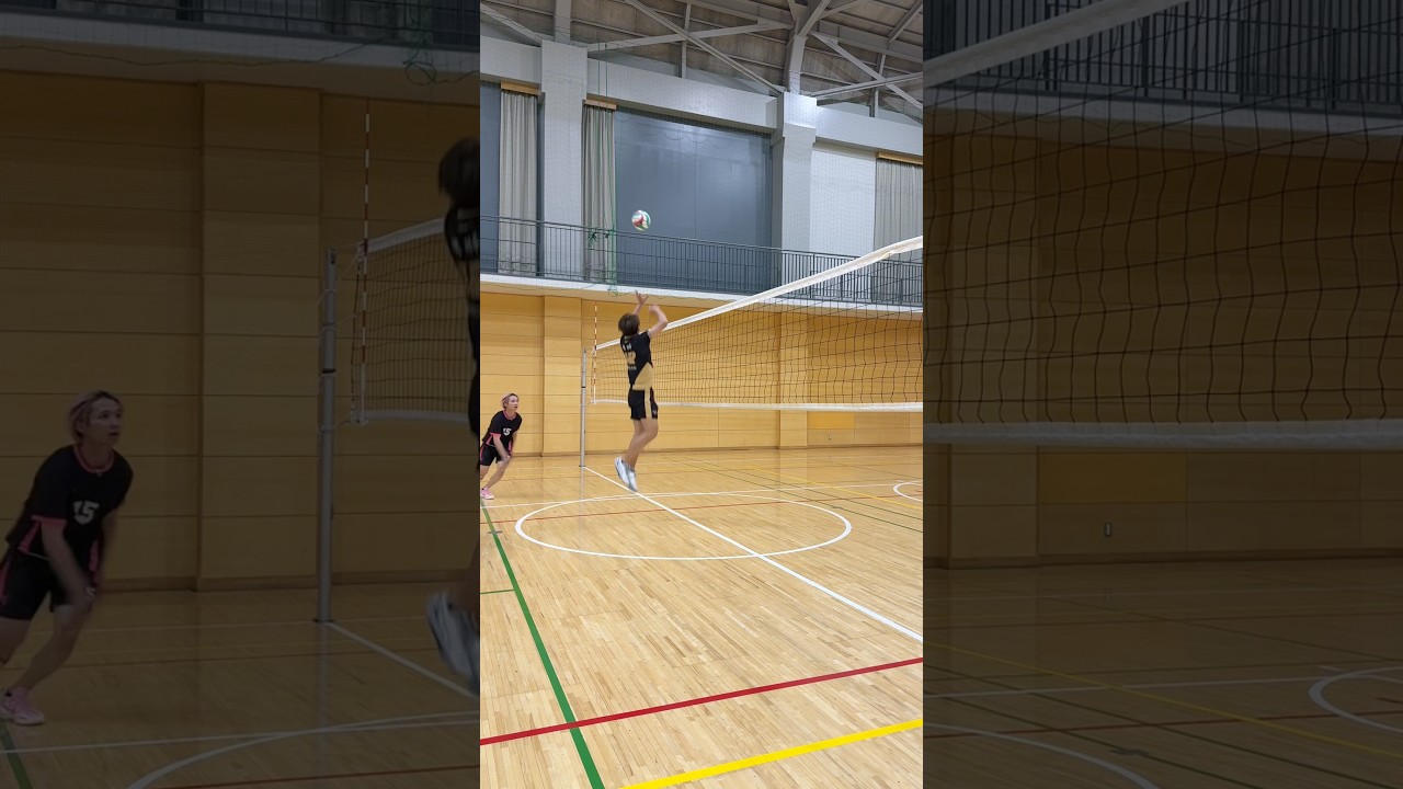 【volleyball】fake set #wisteria #volleyball #バレーボール#haikyuu #ハイキュー#fypシ #fyp