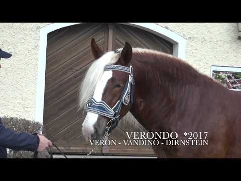 Haupt- und Landgestüt Schwaiganger - Verondo
