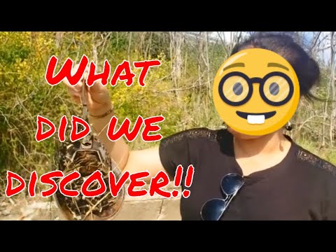 A short trip to Weymouth, MA