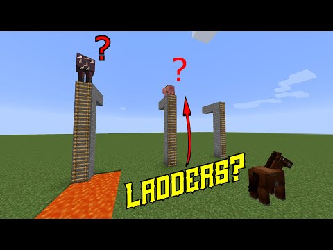 Can animals climb ladders?