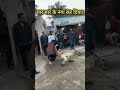 Khaby Lamb Indian Police