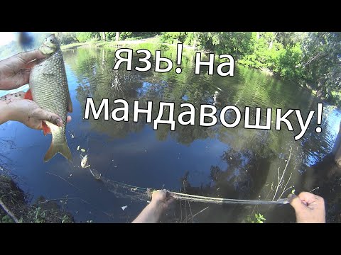 Фото Рыбалка на сети мандавошки! Лодка не нужна! Ловля язя и подлещика!  Fishing on the net!