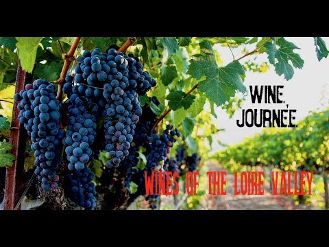 Natural wines of the Loire Valley - Cheverny