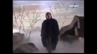 David Hasselhoff  - "Looking For Freedom"  Official Music Video